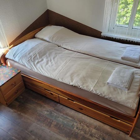 Апартаменты Apartament Kocie Sny - Pod Zamkiem Chojnik Еленя-Гура Экстерьер фото