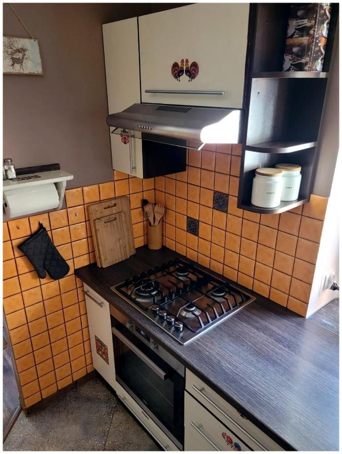Апартаменты Apartament Kocie Sny - Pod Zamkiem Chojnik Еленя-Гура Экстерьер фото